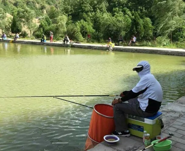 二十四款钓鲢鳙商品饵料介绍,二十四节气钓鱼用饵料味型