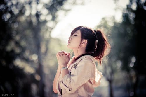 属猪和属牛合作生意可以吗,属猪女属牛男婚配最佳属相