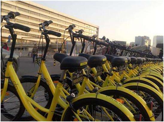 ofo小黄车携手浙江卫视《奔跑吧》引领共享单车绿色出行风潮