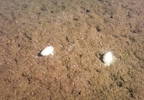 四海钓鱼大课堂读懂浮漂语言,四海钓鱼调漂视频