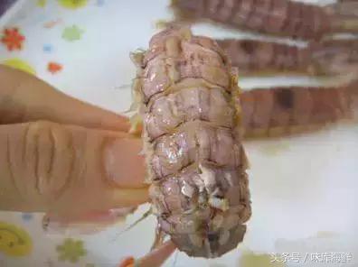 二月吃什么皮皮虾最合适,多少月份能吃到肥美的皮皮虾