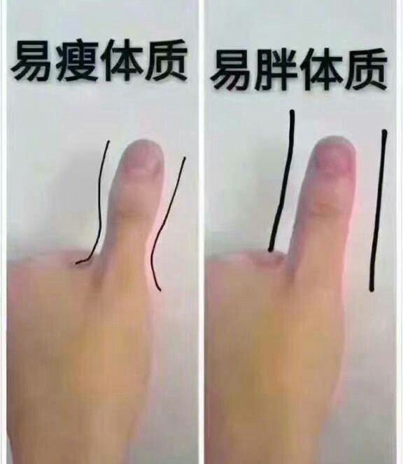 狂吃不胖的幽默回复,辟谣吃米饭胖