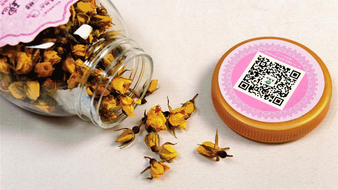 新疆的野玫瑰植物,济源野玫瑰花