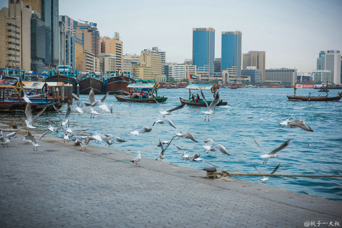 迪拜真的全是豪车吗,迪拜真的像网上传的那样吗