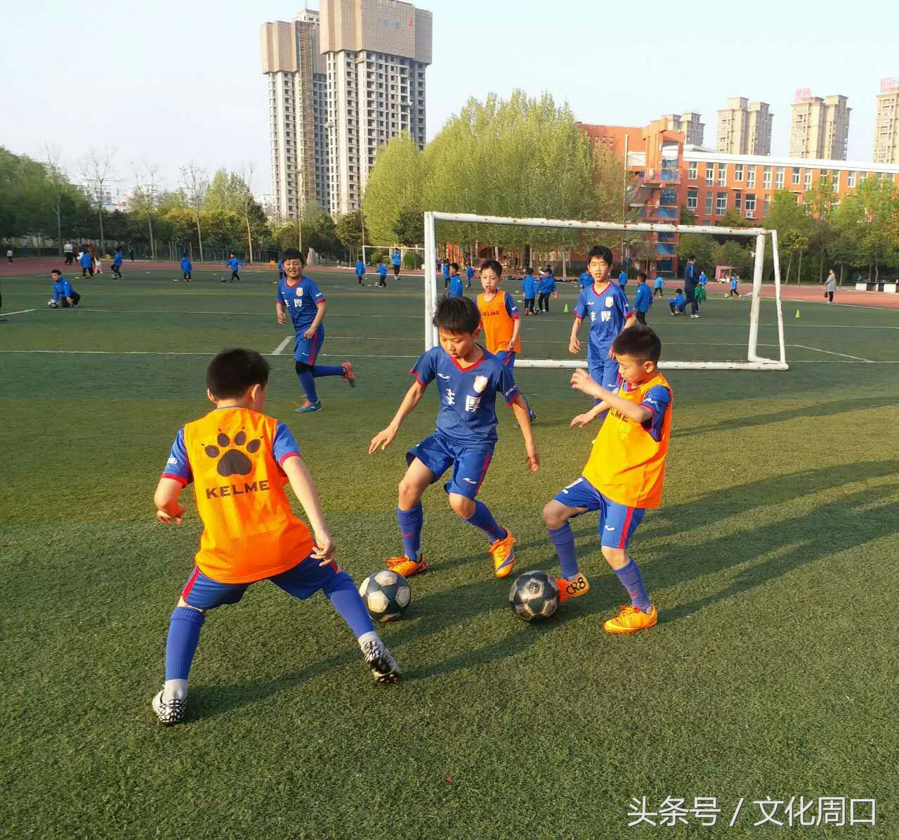 视觉周口｜正在集训的周口足球小子，看看有您认识没