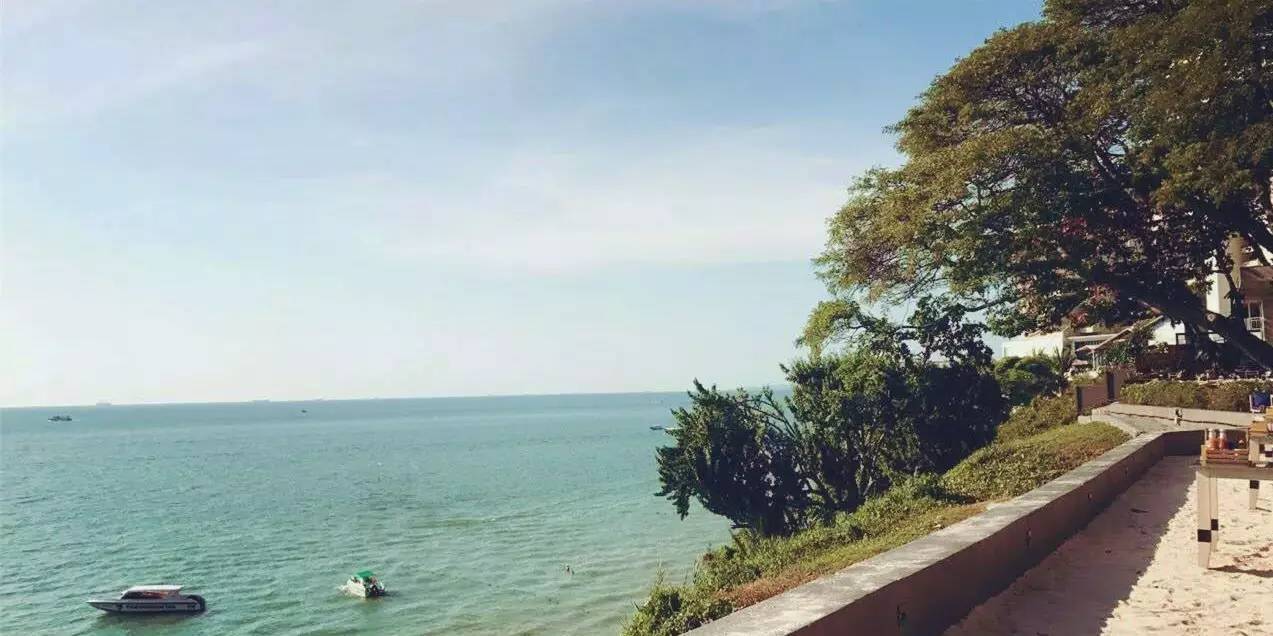 璇曠潯浣撻獙鎶ュ憡妯℃澘,璇曠潯浣撻獙鎶ュ憡