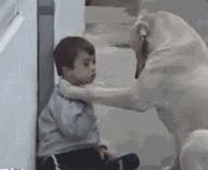 读着这句话我仿佛听到了什么,当微风吹过我仿佛听到了呢喃细语