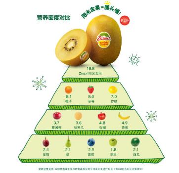 出口托盘一年能盈利多少 (托盘出口增长率)