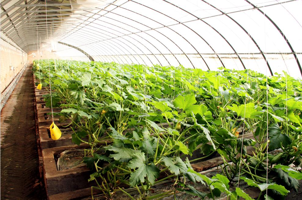 天津光合谷游乐场,天津光合谷游玩攻略