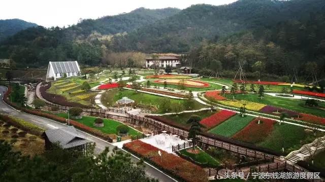 南苑花博园郁金香,除了郁金香还有什么花好看