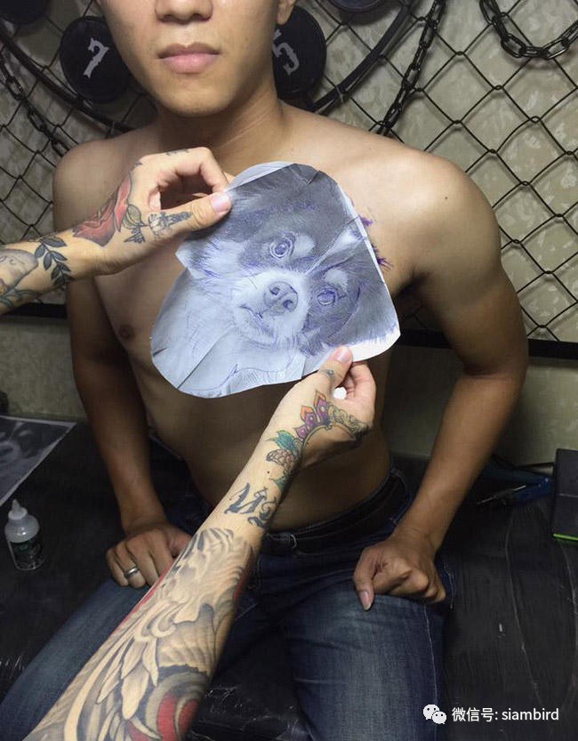 男子分手后把女友纹身改成魔鬼,男子分手把纹身女朋友改成骷髅头