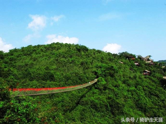 骑驴走天涯完整版,骑驴上三亚