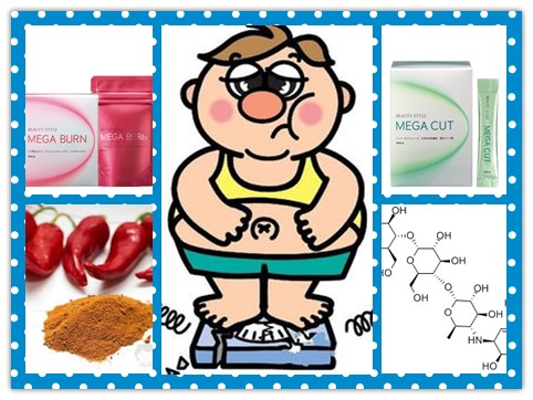 日本代购减肥产品有哪些,日本减肥产品成分