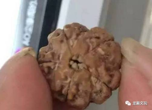 正品金刚和仿品金刚,变形金刚假的冒牌货