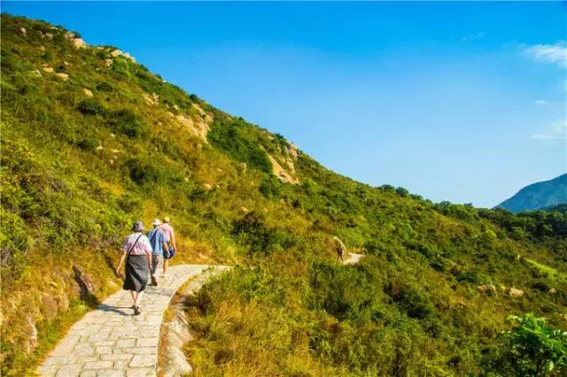 香港tvb的发展历程,香港tvb怀旧之旅