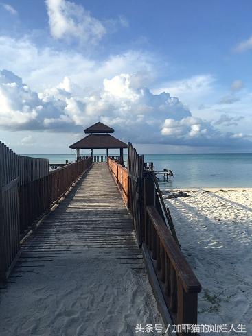 马来西亚亚庇到美人鱼岛,亚庇美人鱼岛游记