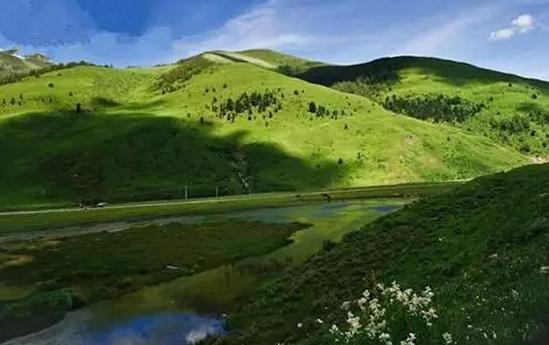 四川不可不去的十个景区,四川湿地风景区