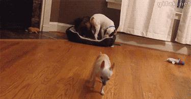 一代巅峰网游竟沦为约X神器！这波“情怀帐”我们不买单！