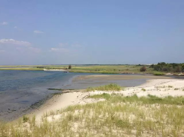 全美风景最美的国家公园,全美50大州立公园