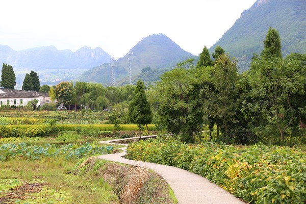 浙江金华山风景旅游攻略,金华旅游必去十大景点双龙洞