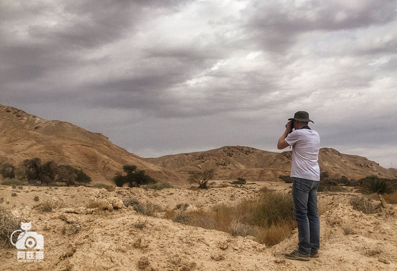 以色列,闯入“禁区”的观鸟人