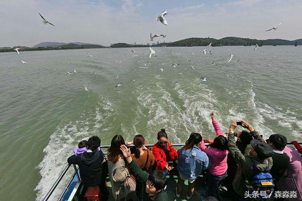 游无锡美景,游无锡太湖美景