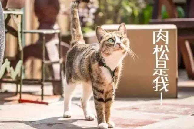 这座藏在旧城区菜市场里的“百货”,装满了老厦门的味道!