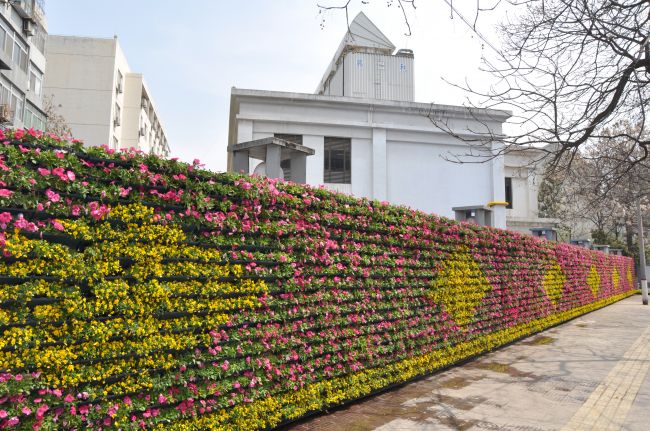 新城区新型园林绿化施工,新城区庭院园林绿化一体化