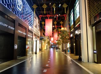 与日本冬天不期而遇在哪,与日本冬天不期而遇后续