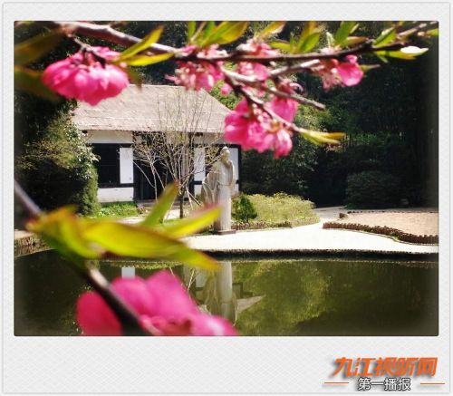 人间四月芳菲尽山寺桃花始盛开,人间四月芳山寺桃花始盛开