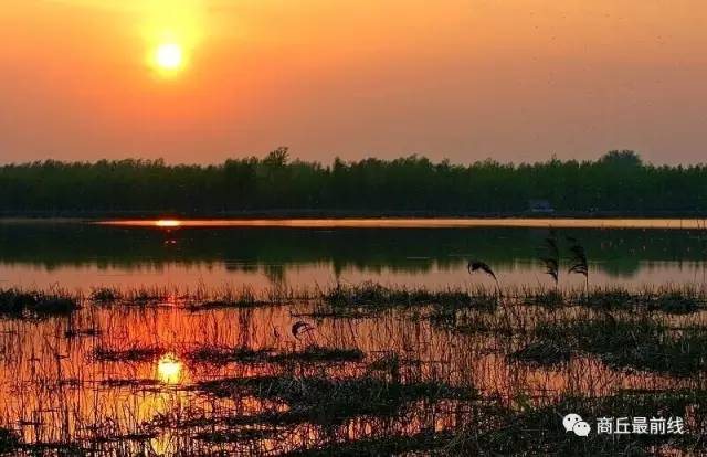 我叫商丘,这是我的最新简历,请多关照!