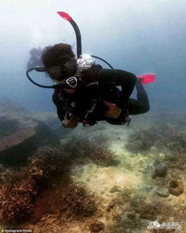 文莱王子宠老虎的画面好苏！各国高质量王子，哪个是你的菜？