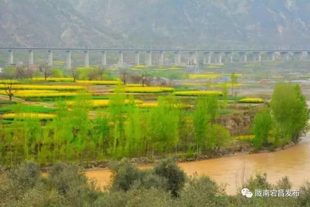 愿和你相遇,宕昌春晚春暖花开