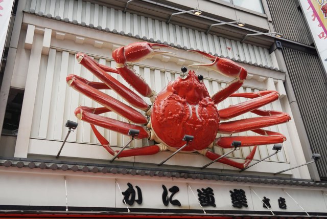 念念不忘必有回响日语,念念不忘必有回响再次相见