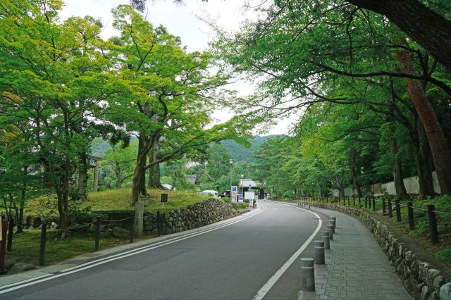 念念不忘必有回响日语,念念不忘必有回响再次相见