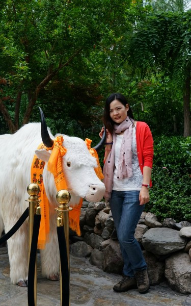 成都黄龙九寨沟路线安排,九寨沟黄龙自驾游攻略详细