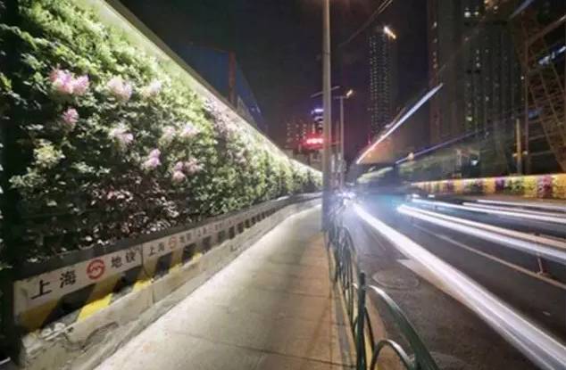 「拾趣」古典风、童话风……上海16座最美地铁站，你最常经过哪一站？