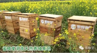 蜜蜂堂是保健品吗,蜜蜂堂纯天然蜂产品化妆品