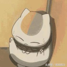 巴厘岛spa手法课件,巴厘岛spavs泰国spa