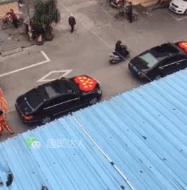 上班就像一条虫,上班是条虫下班是条龙壁纸