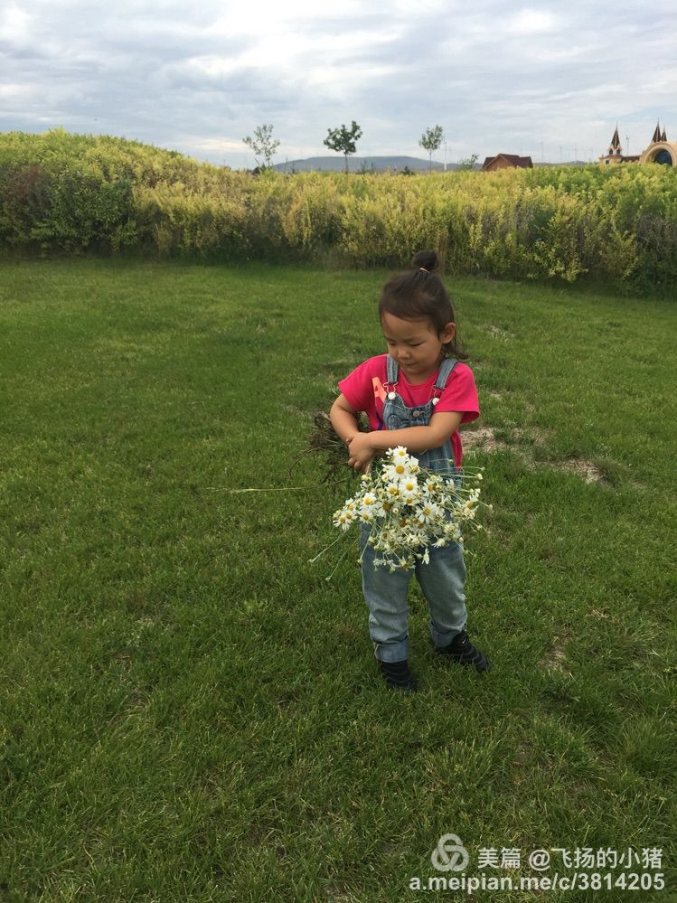 北京到贝加尔湖自驾游攻略,自驾游去贝加尔湖怎么走最好