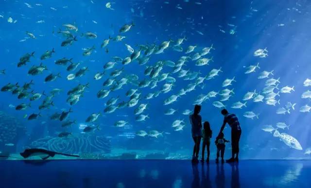 五一去广州长隆旅游攻略,五一珠海长隆旅游攻略