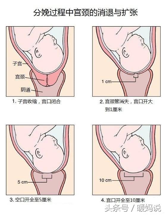 开十指是十个手指头那么宽吗,你以为一只手长了九个手指吗