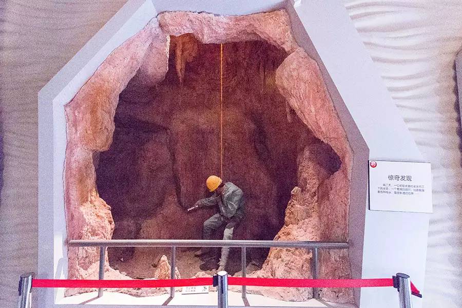 探寻人类的起源之谜,探寻人类祖先的奥秘