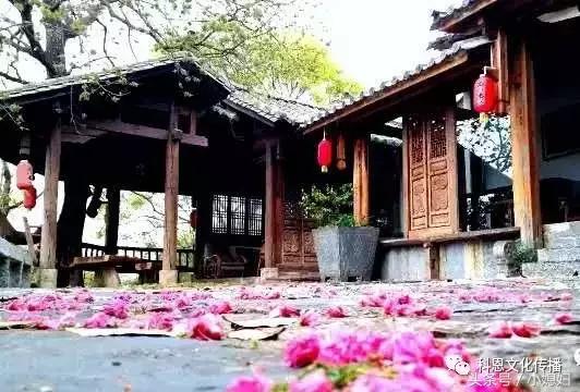 与中央电视台就《深耕云南》筹拍洽谈工作第一次正式会面