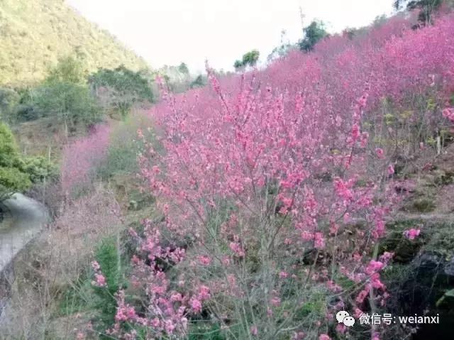 安溪最好看的风景,安溪哪个风景好