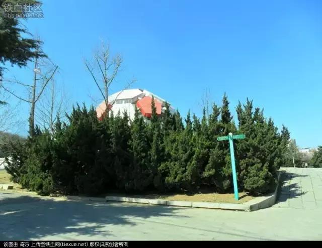 劳动公园大足球内部样子,劳动公园大足球叫什么