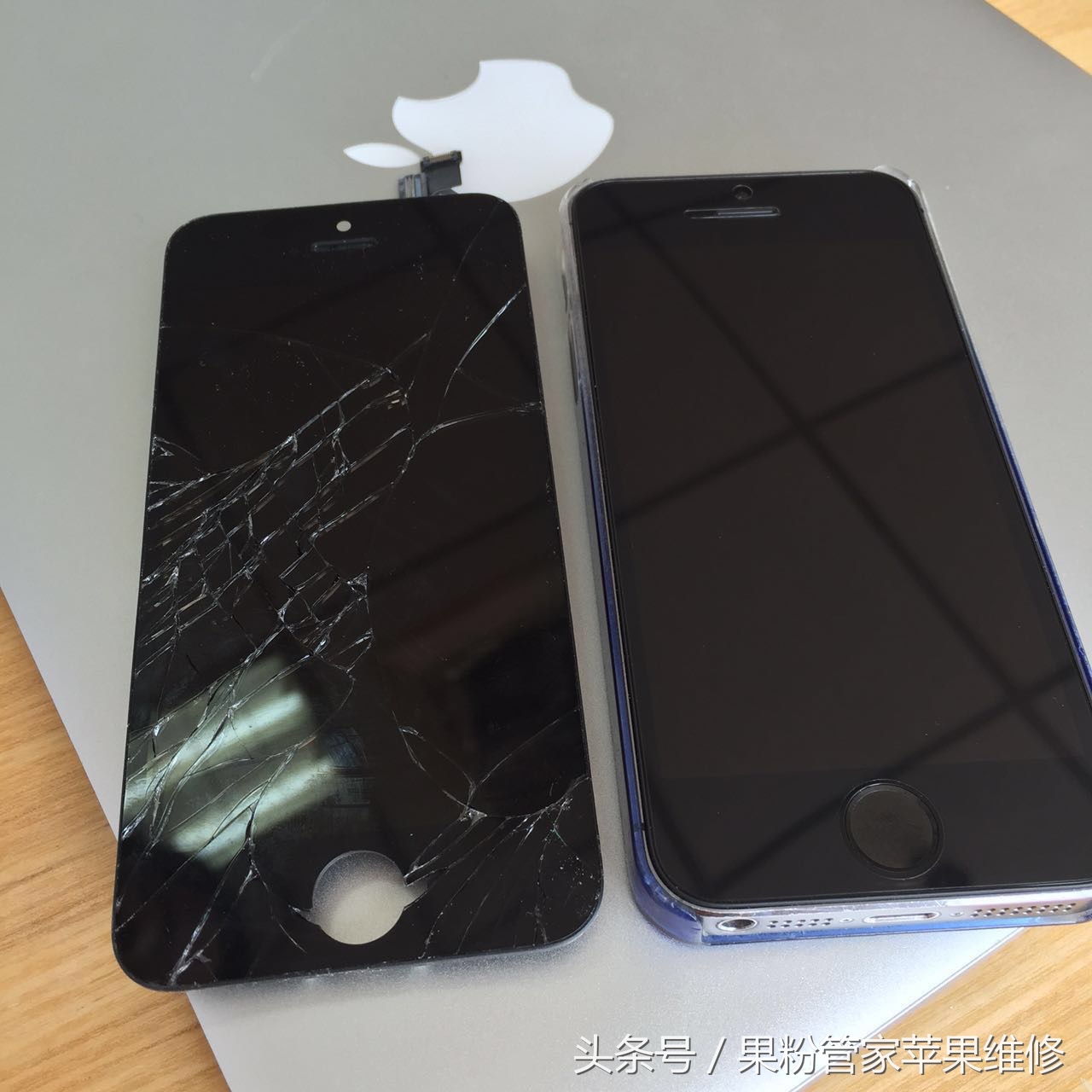 大连果粉管家,果粉管家清灰