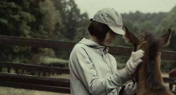 好奇霓虹：这么多霓虹剧嗷嗷待看，还说剧荒，就是你的不对了