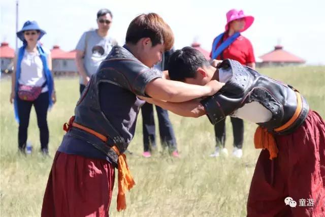 在草原骑马狂奔,在大草原策马驰骋